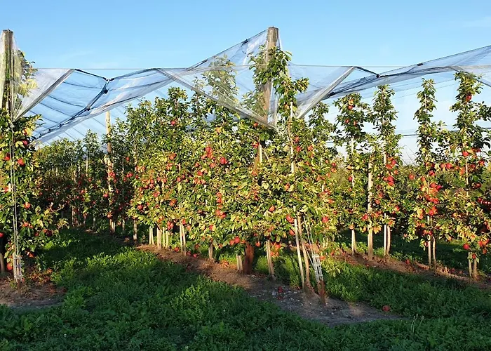 Am Rotach Διαμέρισμα